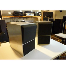 B&O Beovox CX50