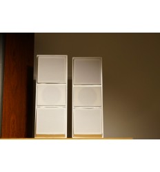 Bang & Olufsen Beovox CX 100